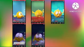 MASHUP CHICKY (6 Chicky Version)