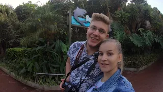 The best animal park, adrenaline and a thief... What happened?| Tenerife Vlog