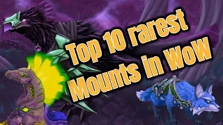 Top 10 rarest wow mounts at 2018