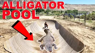 How I Built An Alligator House!