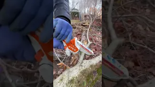 Stihl Mini Chainsaw: The Best Review of the GTA 26