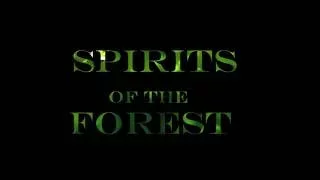 Spirits of the forest teaser trailer