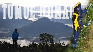 SUR LE TOIT DE L'AMAZONIE  - Monts Tumuc Humac, Guyane Française 🦎