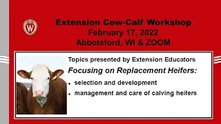 Cow-Calf Presentation Replacement Heifer Selection and Development