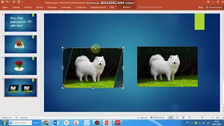 Power Point  программасында 3D cурот жасоо