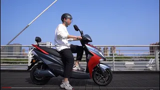 Elektroroller HAWK 45 km/h 3000 Watt E-Roller Straßenzulassung E-Scooter 250 Servicepartner