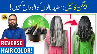 Safed Balon Ko Kala Karen (Began Ke Oil Se!) Treat Premature White/Grey Hair | Dr. Ibrahim