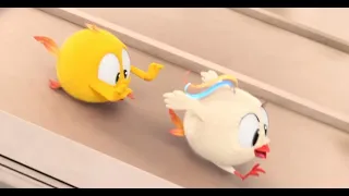 Onde está Chicky? CHICKY CORRE ATRÁS DE BEKKY | Desenhos Animados Infantil | Novos episódios