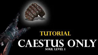 Caestus Only full tutorial | DS3 SL1