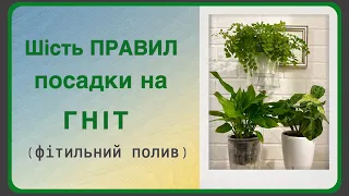 Ваші РОСЛИНИ будуть РОСТИ ЯК НА ДРІЖЖЯХ ! Обовʼязково подивіться ці 6 правил !