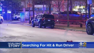 Woman And Boy Killed In Gage Park Hit-And-Run