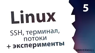 #5. Практика по терминалу / Linux