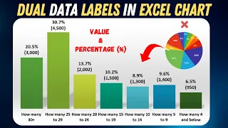 Display Both Percentage % & Value in Excel Column Charts