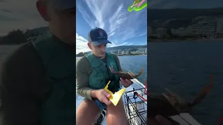 Такого от рыбалки в Ванкувере я не ожидала!😳🎣🇨🇦