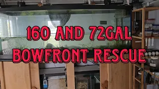 160 and 72gal Bowfront Rescue