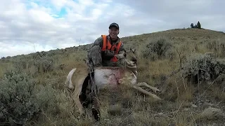 Montana Antelope Rifle Hunt 2018