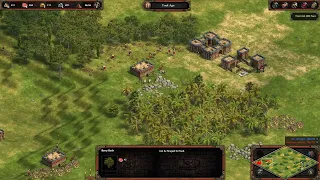 Age of Empires (DE)