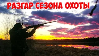 Разгар сезона охоты на уток 2020 весна