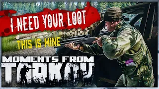 BEST MOMENTS ESCAPE FROM TARKOV  HIGHLIGHTS - EFT WTF & FUNNY MOMENTS  #68