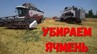 Уборка Ячменя 2021 началась в Краснодарском Крае/Молотим Озимый Ячмень/Уборочная озимого Ячменя.