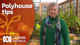 Using a polyhouse for growing produce year-round | Garden Inspiration | Gardening Australia