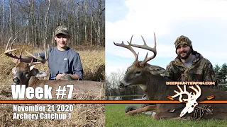 Two Bucks Down during Archery in New York