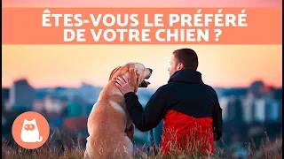 10 signes qui prouvent que vous êtes la personne préférée de votre chien 🐶❤