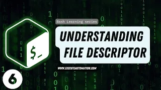 #6 - Understanding File Descriptor in Bash