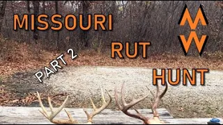 Missouri Rut Hunt Part 2