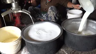 The Pastoralists (An untold story of High Himalayas) #Yak #Chauri #Kalinchowk #Yakcheese #Churpi