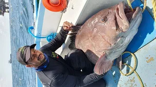 GIANT GROUPER CAUGHT ON HANDLINE - Battling A Sea Monster - Deep Sea Fishing In The Caribbean