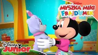 🐕 Nowy szczeniaczek Minnie | Myszka Miki: Frajdomek | Disney Junior Polska