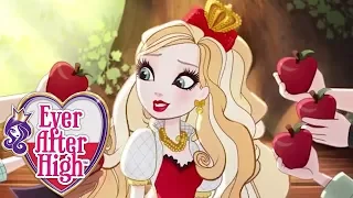 Ever After High™ Polski | Rozdział 2 - Odc. 16-21