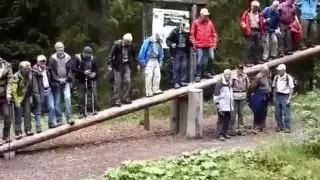 Old People Falling Off A Giant Seesaw (Original Sound)