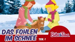 Bibi & Tina - Das Fohlen im Schnee (Hörbuch - 35 Minuten)   ADVENTSKALENDER zum Hören | 6. Türchen