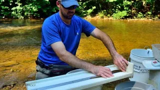 Adventures in Nature Lab: American eels in the Susquehanna River