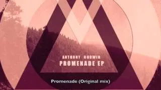 ANthony Godwin -  Promenade (Original mix)  Miocene ## Techno mélodic ##