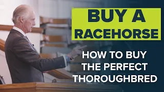 HOW TO BUY THE PERFECT RACEHORSE | ACCESS ALL AREAS WITH DARRYLL HOLLAND AND KIEREN FALLON
