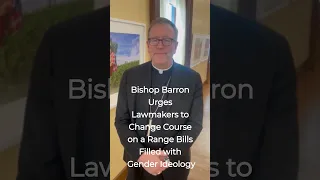 Bishop Barron Shares Gender Ideology Concerns with Lawmakers