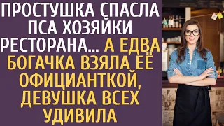 Простушка спасла пса хозяйки ресторана… А едва богачка взяла её официанткой, девушка удивила всех