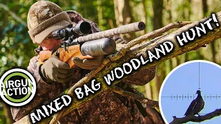 Airgun Action | Squirrel, pigeon & crow woodland hunting | Hammerli Hunter Force 900 Combo review