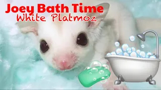 BATH TIME BABY PLATINUM SUGAR GLIDER