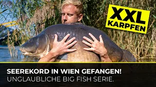 XXL-Karpfen-Rekord in Wien – DONAU – NEUE STAFFEL: Keep Searching #3 – Episode 1