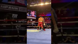 Josh Taylor v Jose Ramirez 2nd knockdown from ringside