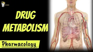 PHARMACOLOGY | Biotransformation of drugs made super easy [DRUG METABOLISM]