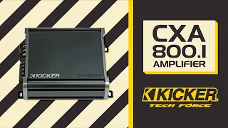 Why the Kicker CXA800.1?