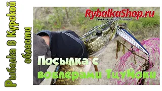 Обзор посылки с воблерами ТцуЙоки 2021 из Rybalkashop ru