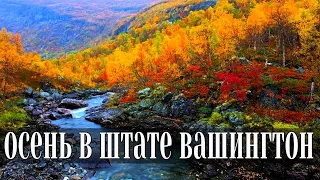 Осень в штате Вашингтон Прогулка в парке