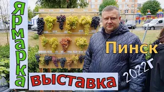 Виноград Полесья .Выставка -ярмарка г. Пинск-2022года.