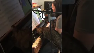 Cat Plays Piano While Totally Astonished and Mesmerized #Shorts #Cat #Piano